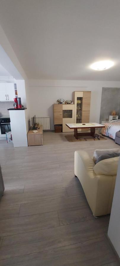 Appartamento Apartament Nina Năvodari Esterno foto